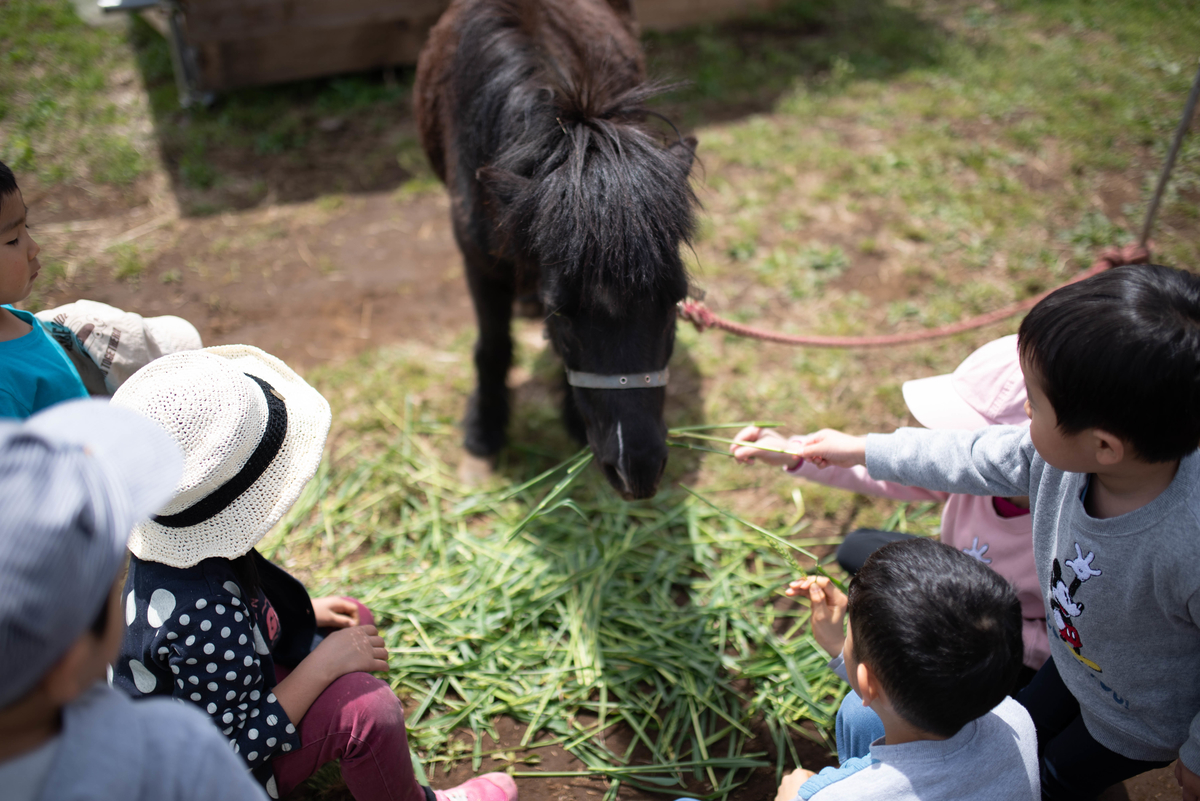 f:id:hatakai802:20190510123312j:plain