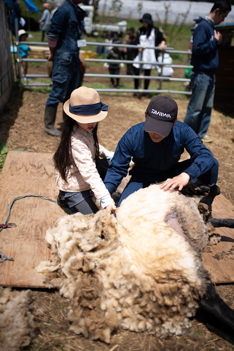 f:id:hatakai802:20190510123356j:plain