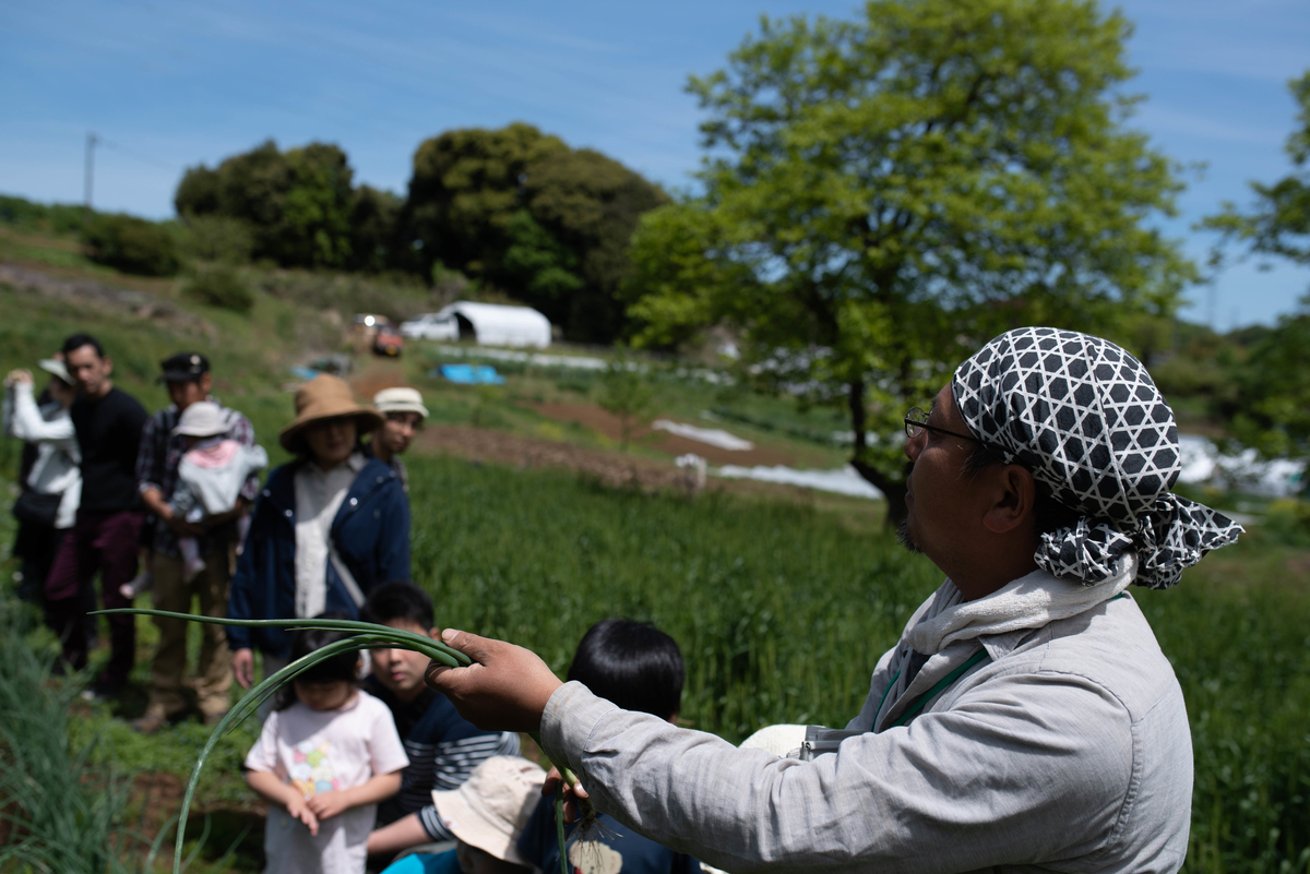 f:id:hatakai802:20190510123522j:plain