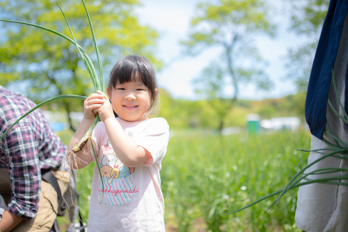 f:id:hatakai802:20190510123656j:plain