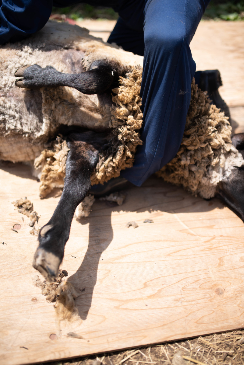 f:id:hatakai802:20190510123815j:plain