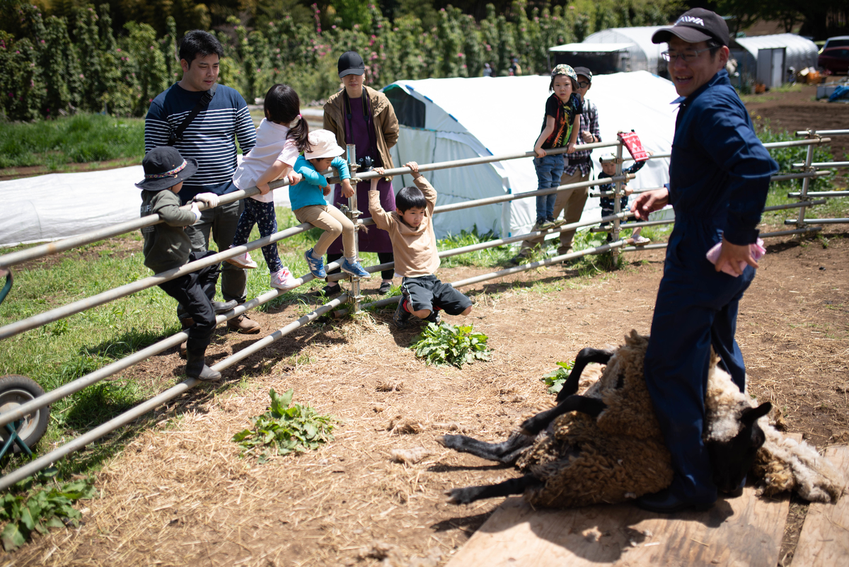 f:id:hatakai802:20190510123905j:plain