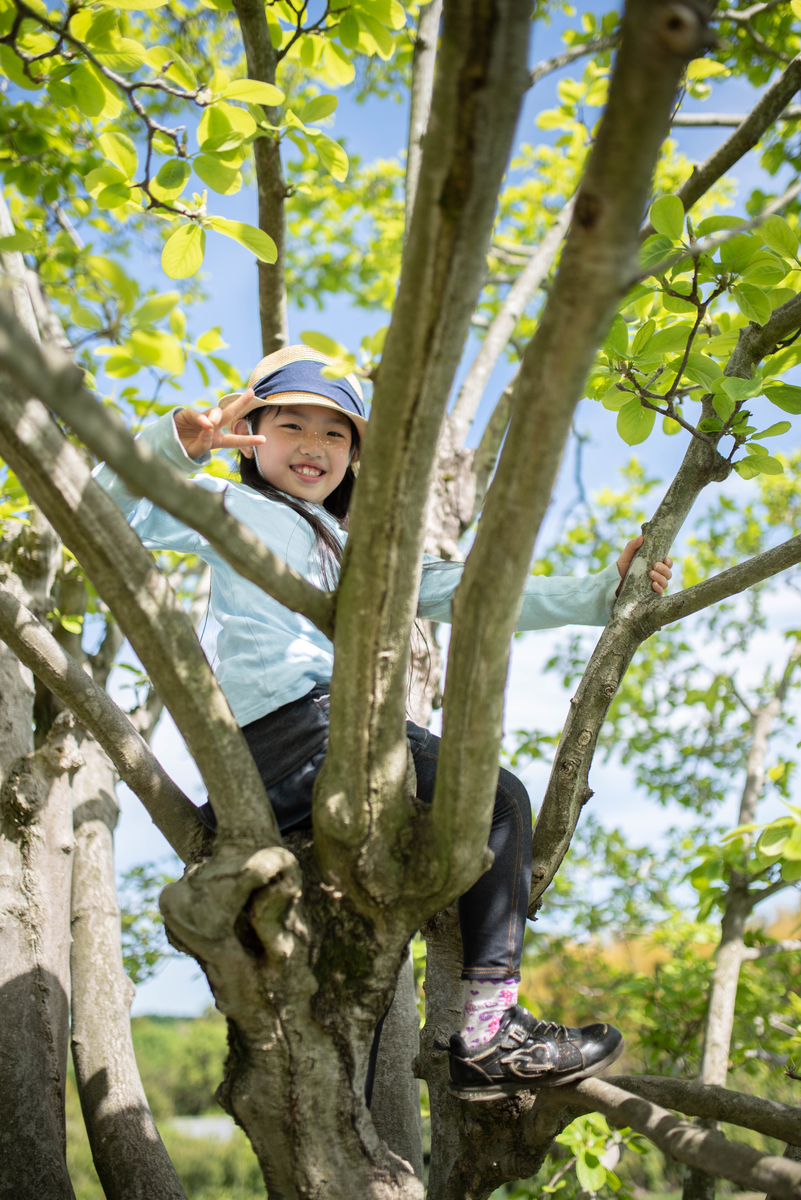 f:id:hatakai802:20190510124632j:plain