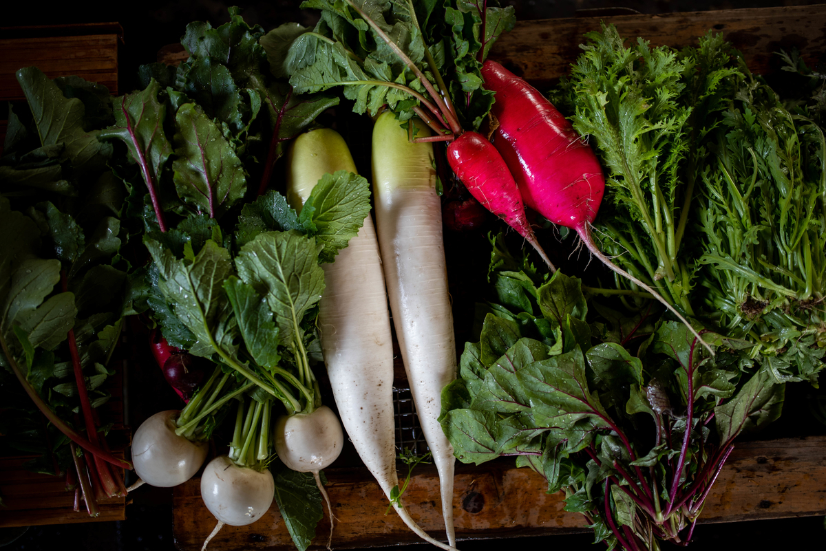 f:id:hatakai802:20190510125838j:plain