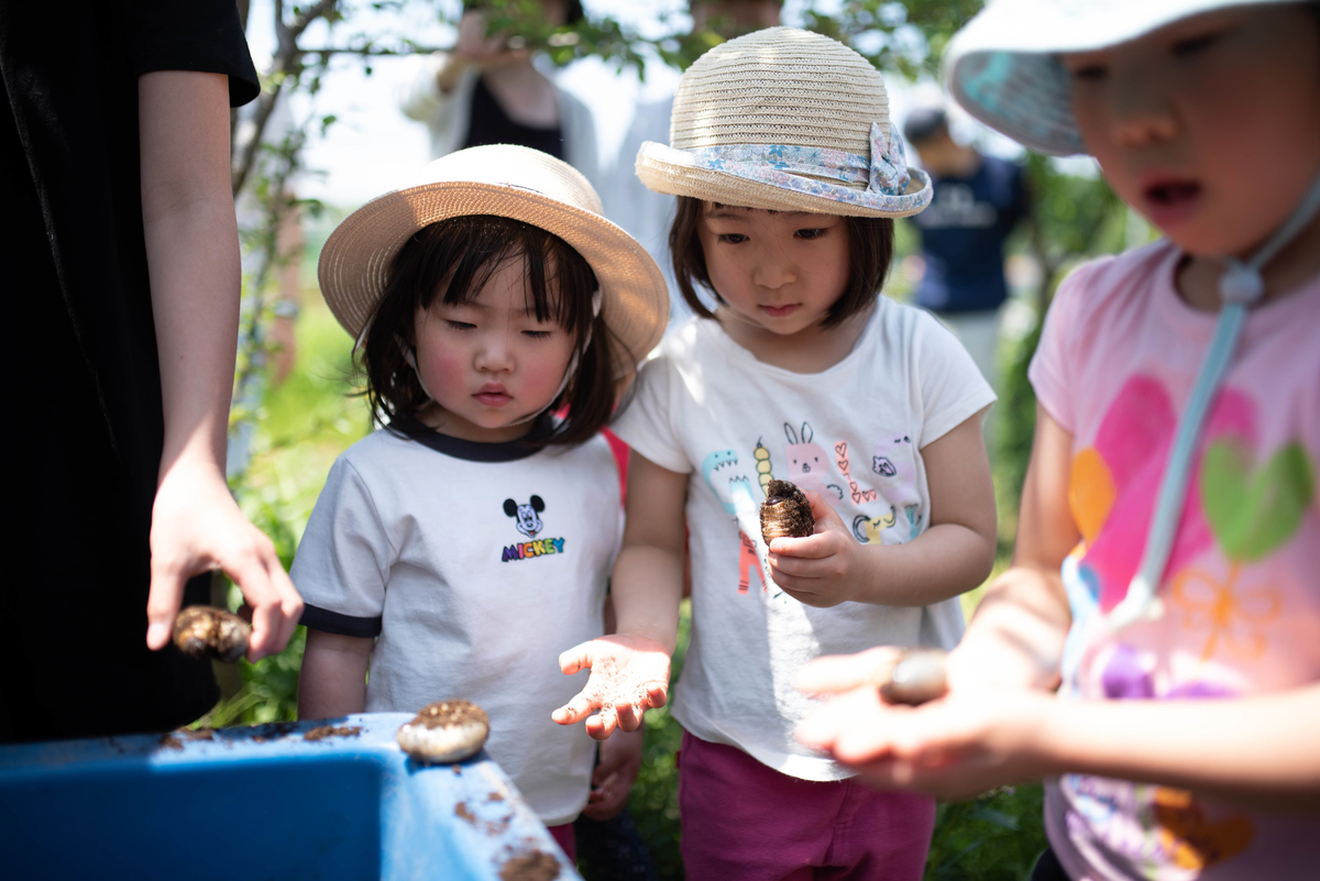 f:id:hatakai802:20190510130022j:plain