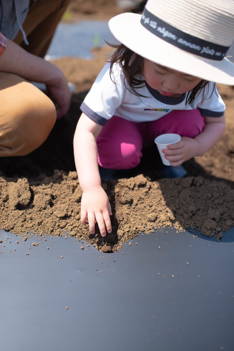 f:id:hatakai802:20190510130132j:plain