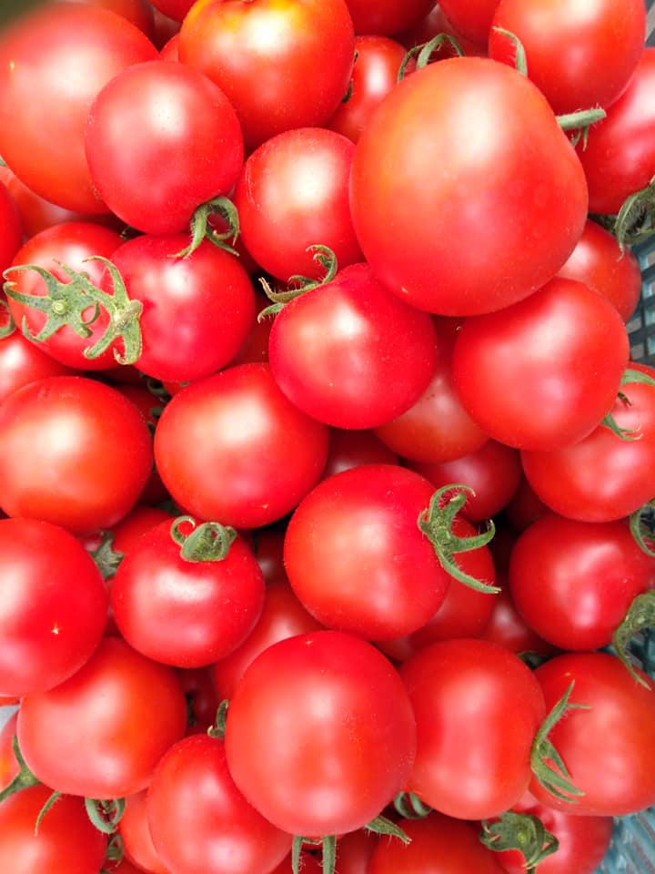 f:id:hatakai802:20190714223618j:plain f:id:hatakai802:20190714223618j:plain