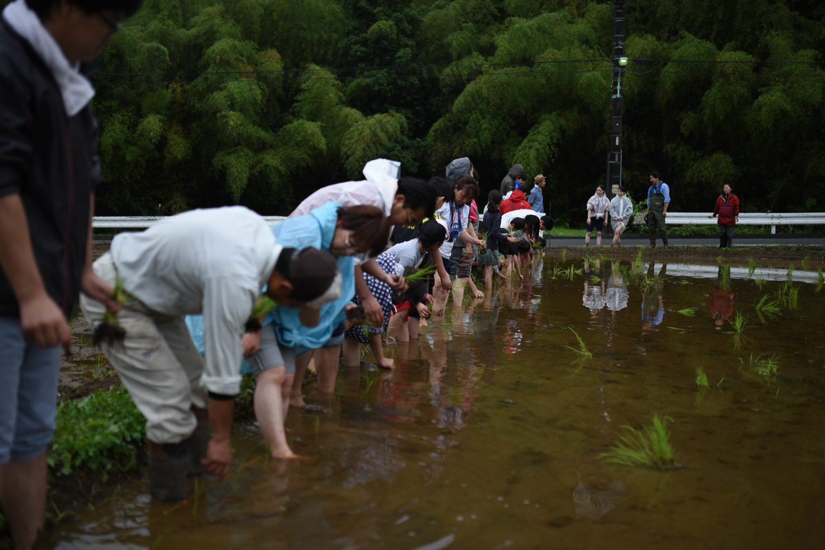 f:id:hatakai802:20190714234635j:plain