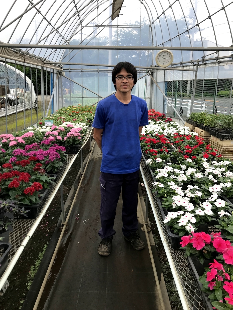 f:id:hatakai802:20190722233752j:plain f:id:hatakai802:20190722233752j:plain