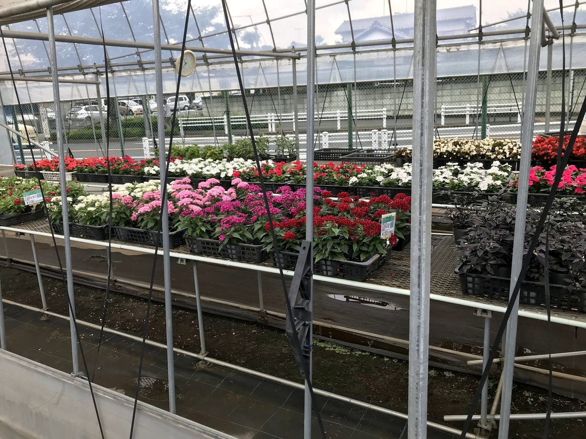 f:id:hatakai802:20190722234029j:plain f:id:hatakai802:20190722234029j:plain