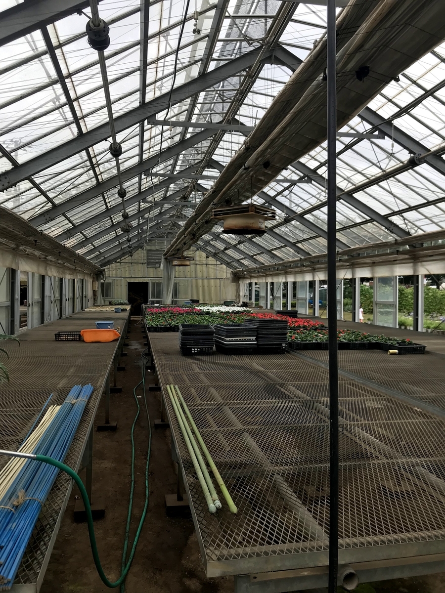 f:id:hatakai802:20190722234045j:plain f:id:hatakai802:20190722234045j:plain