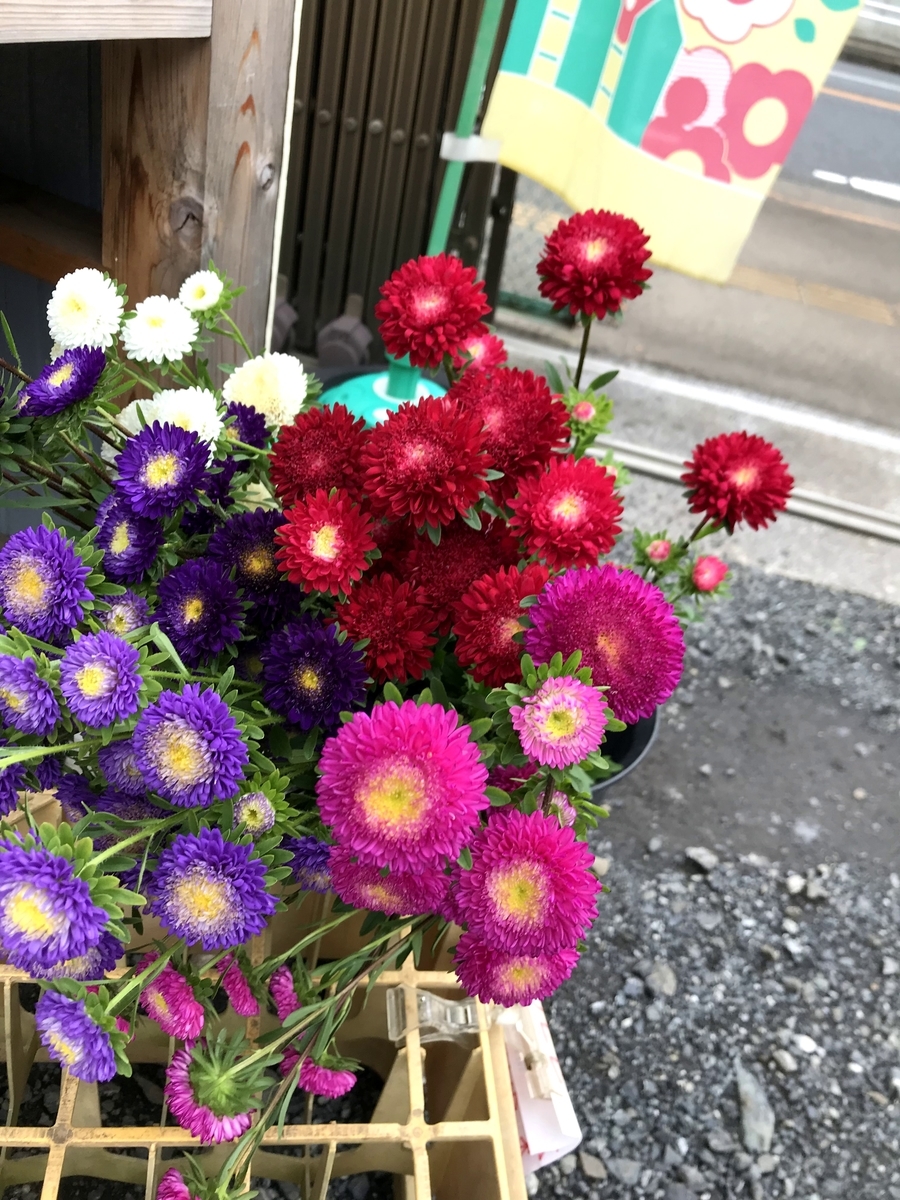f:id:hatakai802:20190722234050j:plain f:id:hatakai802:20190722234050j:plain