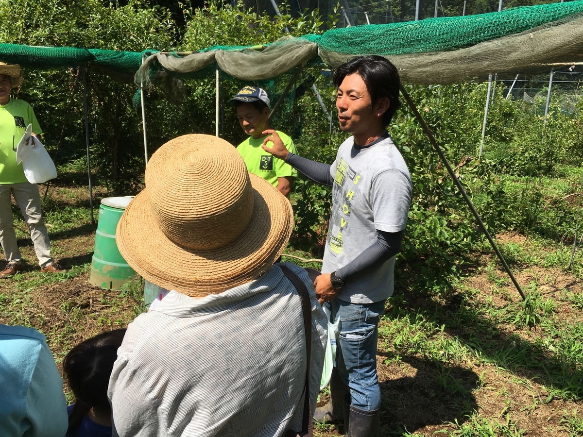 f:id:hatakai802:20190819230522j:plain