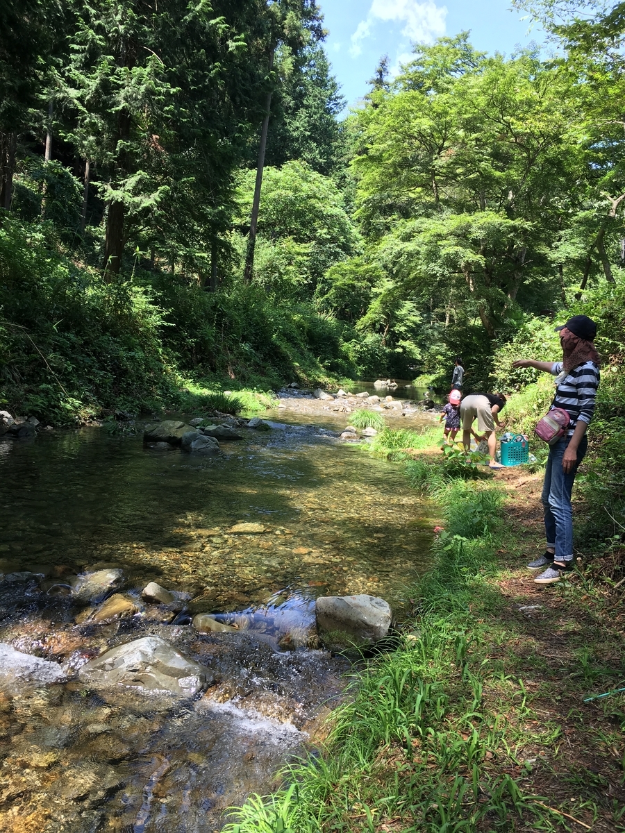 f:id:hatakai802:20190819231701j:plain