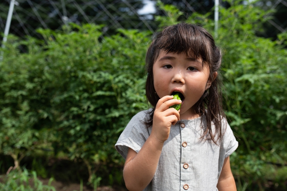 f:id:hatakai802:20190903114500j:plain