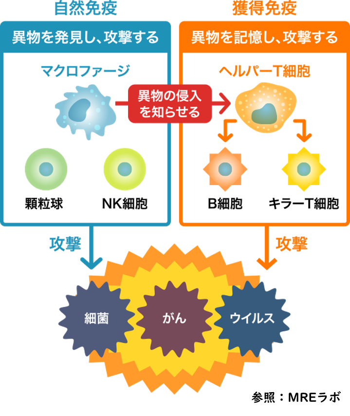 f:id:hatakai802:20200518172544p:plain