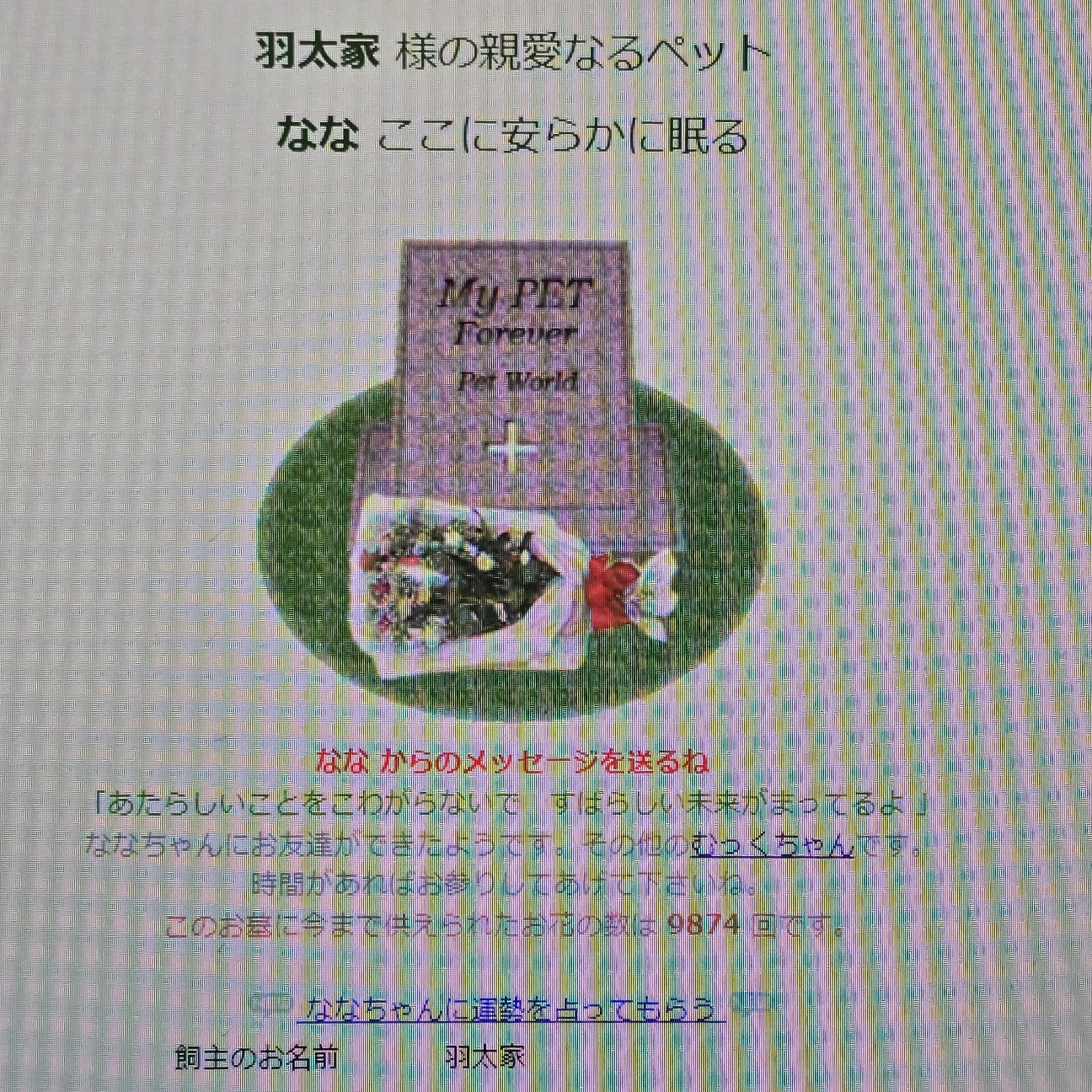 山久保の春 - はたかおりと羽太雄平、なな、むっくのおうち 2