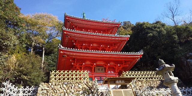 f:id:hatakazekun:20211129224314j:image f:id:hatakazekun:20211129224314j:image