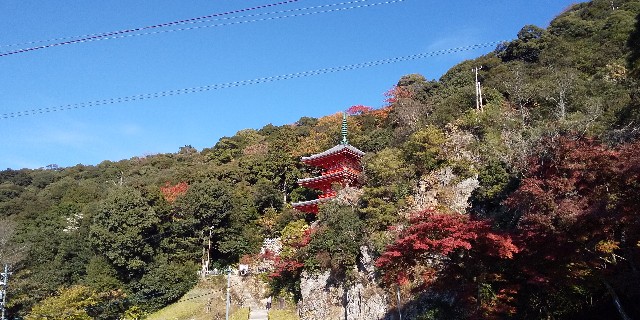 f:id:hatakazekun:20211129224330j:image f:id:hatakazekun:20211129224330j:image