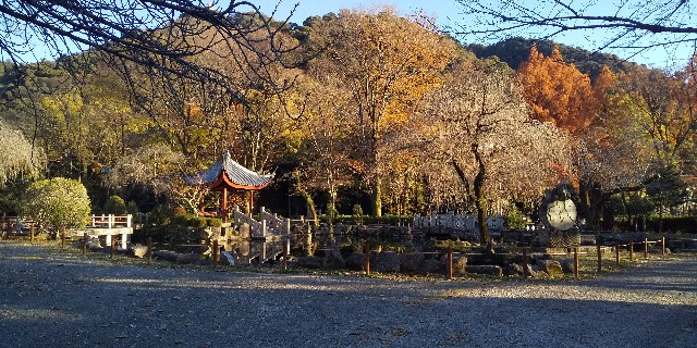 f:id:hatakazekun:20211129224923j:image f:id:hatakazekun:20211129224923j:image