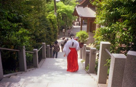 f:id:hatake-1961:20100506005332j:image:left f:id:hatake-1961:20100506005332j:image:left