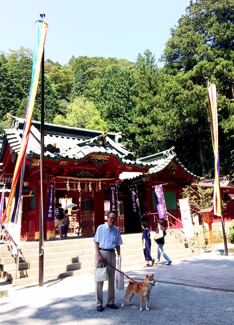 f:id:hatakei:20190814023746j:plain f:id:hatakei:20190814023746j:plain