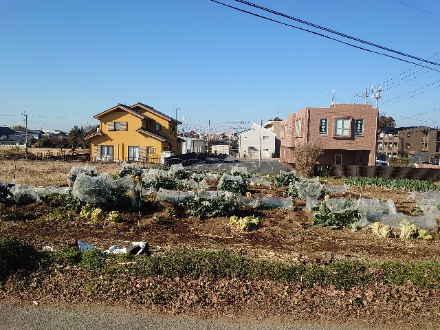 f:id:hatakenogochiso:20230109115013j:image
