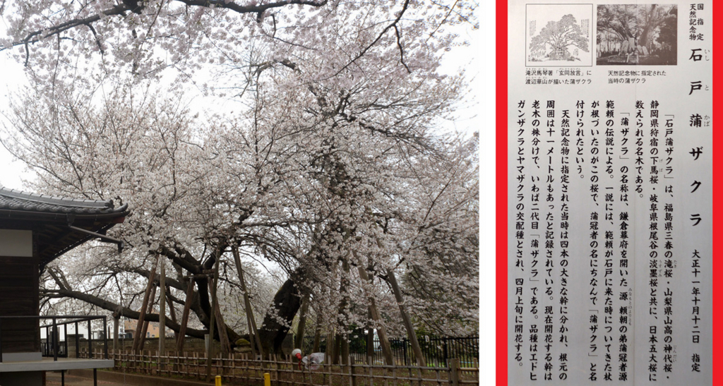 f:id:hataketoturi:20180515164110j:plain