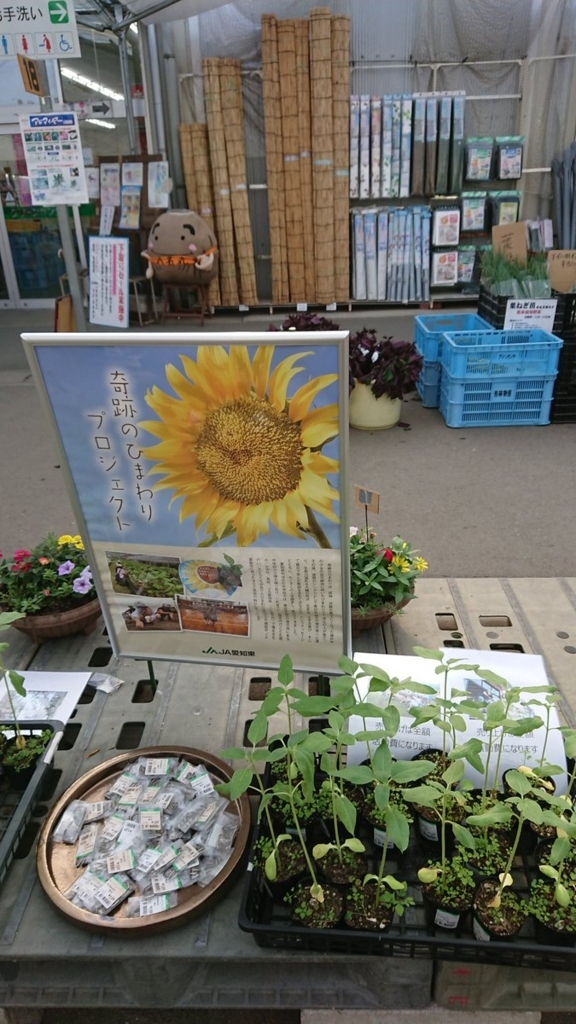 f:id:hatakewokudasai:20180701055928j:plain