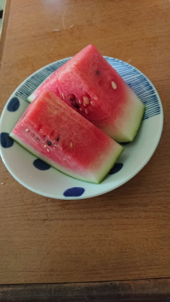 f:id:hatakewokudasai:20180723051437j:plain