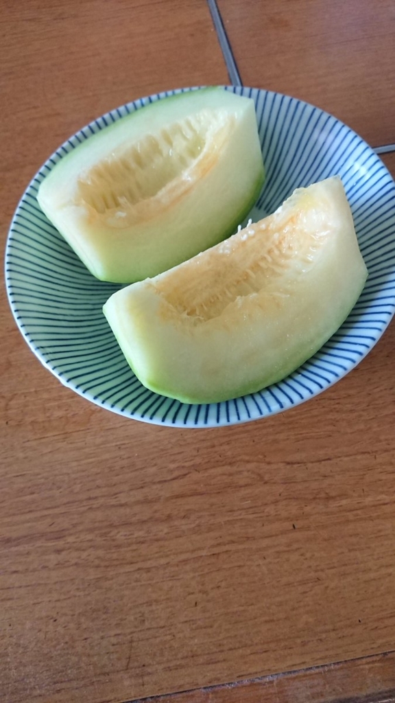 f:id:hatakewokudasai:20180723051530j:plain