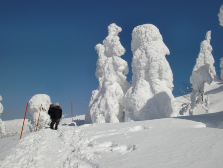 f:id:hatakeyama1026:20140226122427j:image:right f:id:hatakeyama1026:20140226122427j:image:right