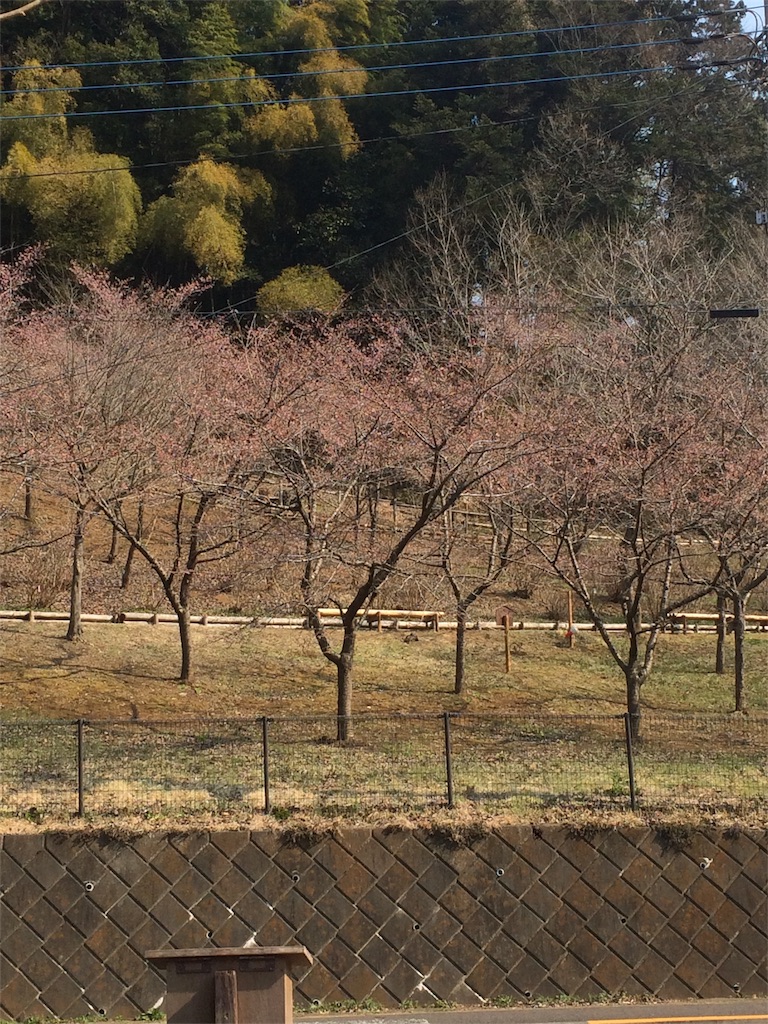 f:id:hatakofuru:20170319223349j:image