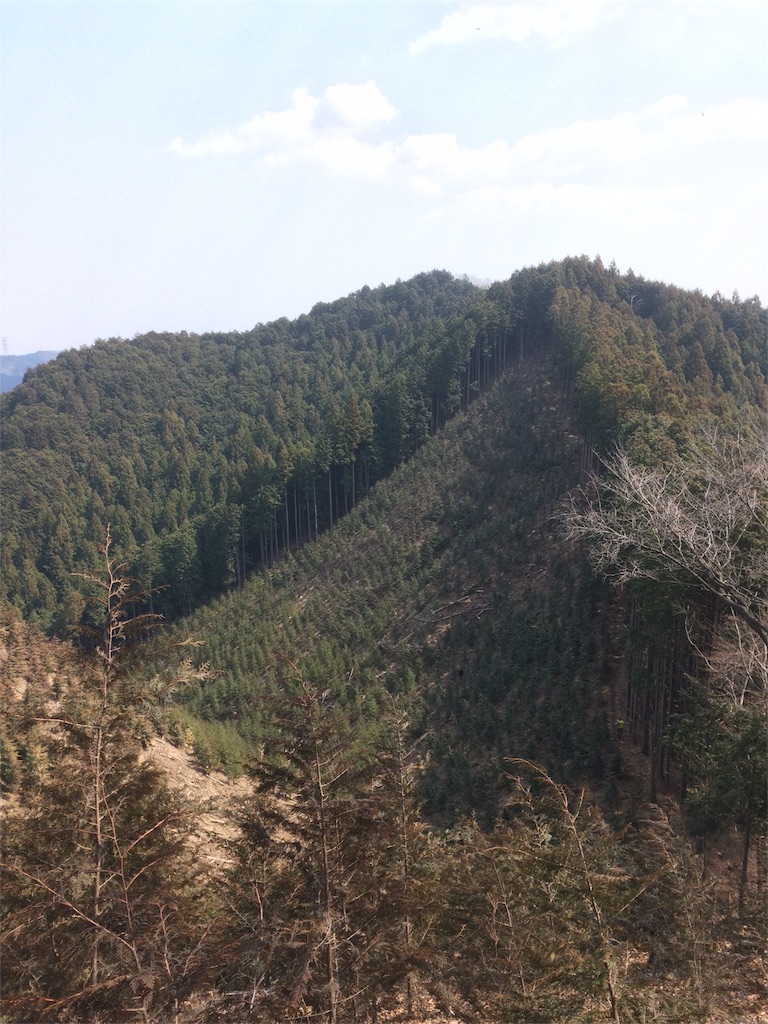 f:id:hatakofuru:20170320183948j:image