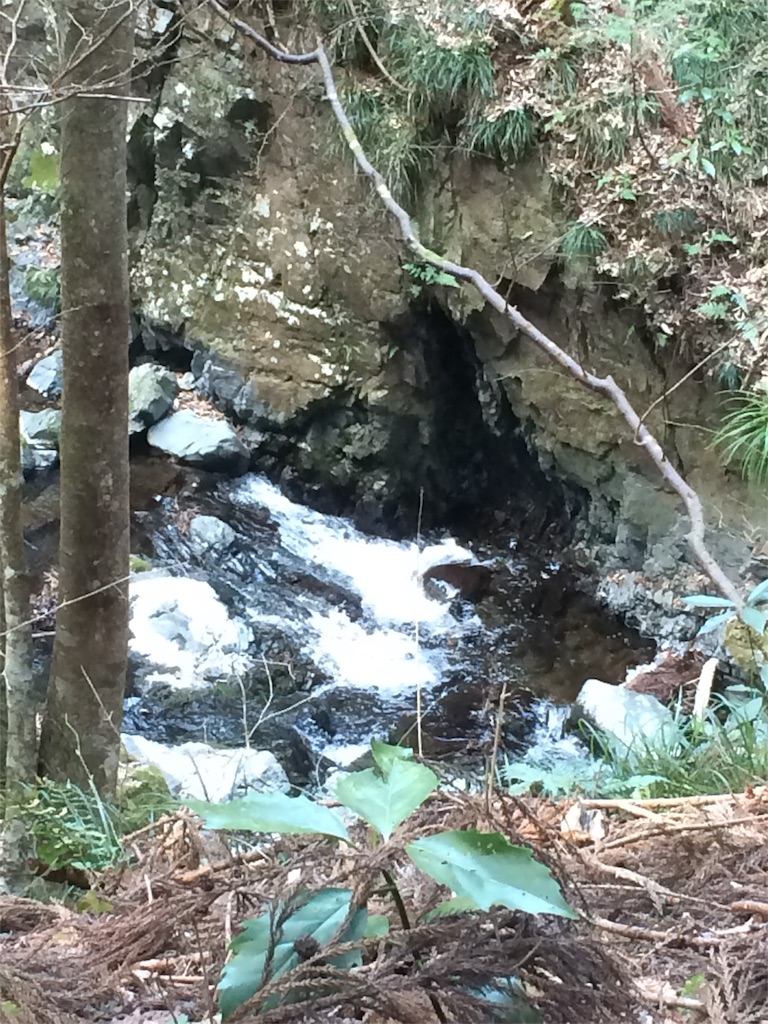 f:id:hatakofuru:20170321225423j:image f:id:hatakofuru:20170321225423j:image