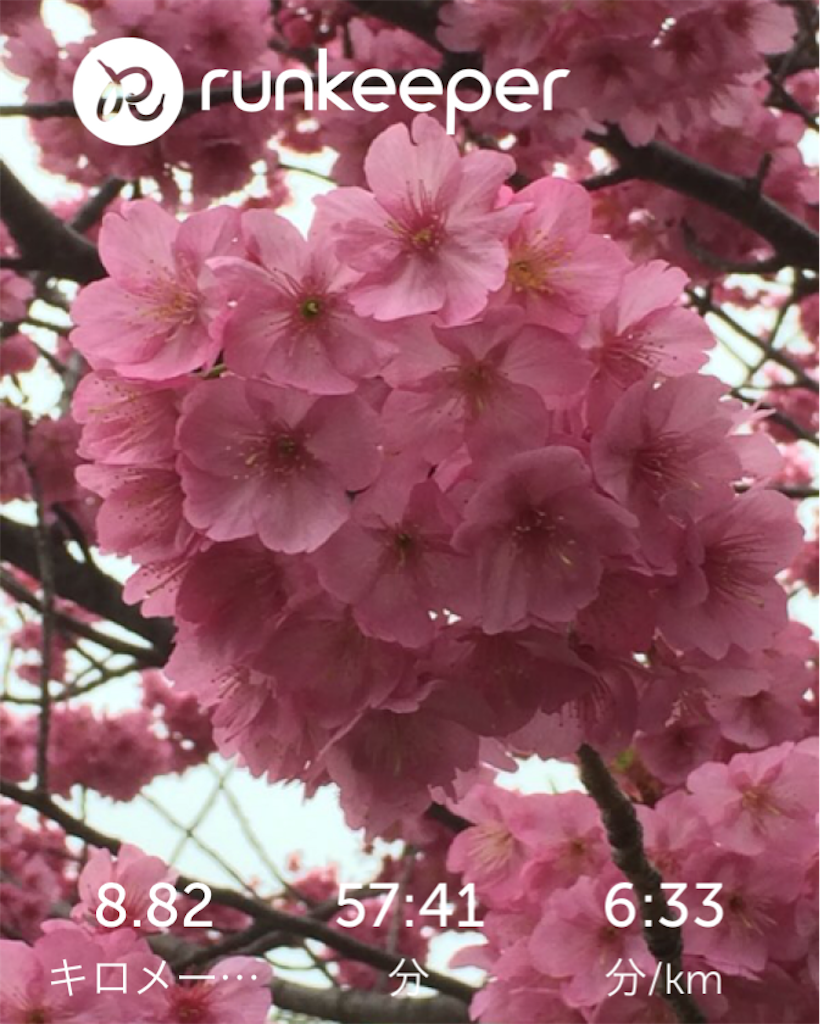 f:id:hatakofuru:20170401073325p:image f:id:hatakofuru:20170401073325p:image