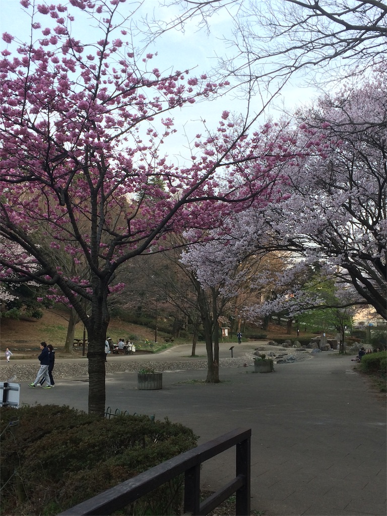 f:id:hatakofuru:20170401073445j:image f:id:hatakofuru:20170401073445j:image
