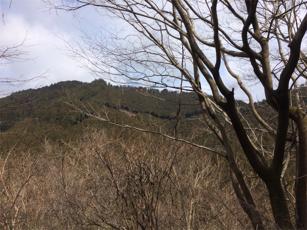 f:id:hatakofuru:20170404200122j:image