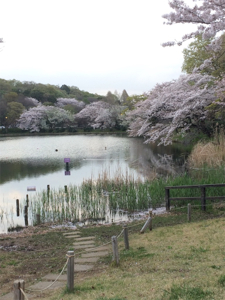 f:id:hatakofuru:20170414095145j:image