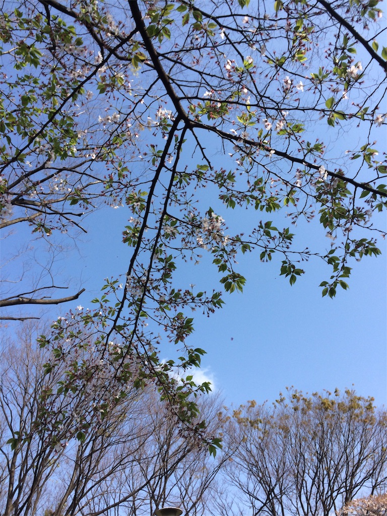 f:id:hatakofuru:20170415220454j:image