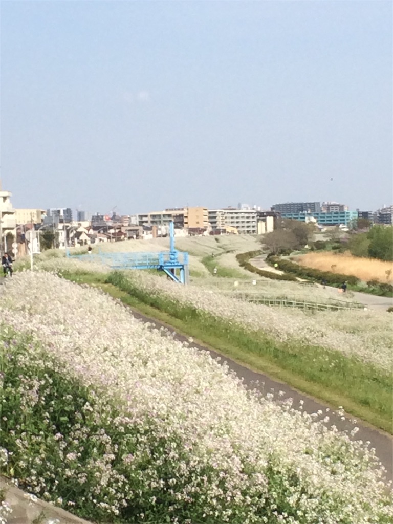f:id:hatakofuru:20170415220506j:image