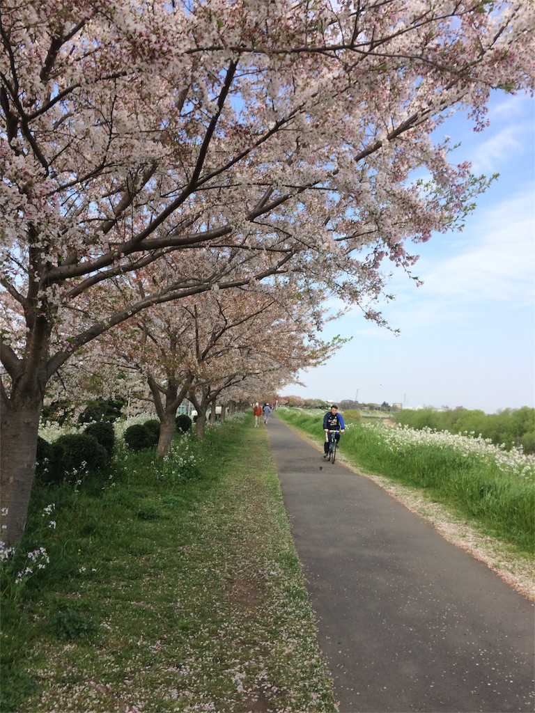 f:id:hatakofuru:20170415220520j:image