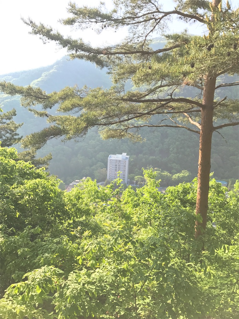 f:id:hatakofuru:20170523202703j:image