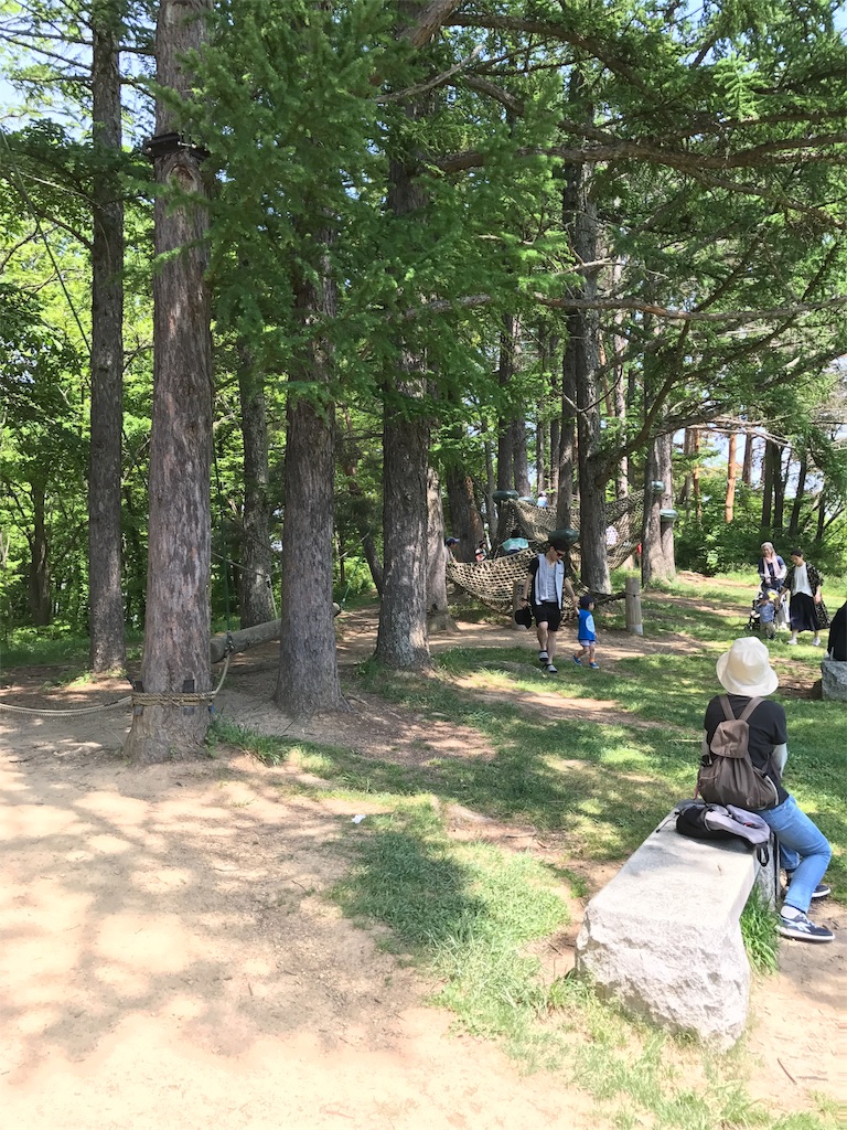 f:id:hatakofuru:20170524081550j:image