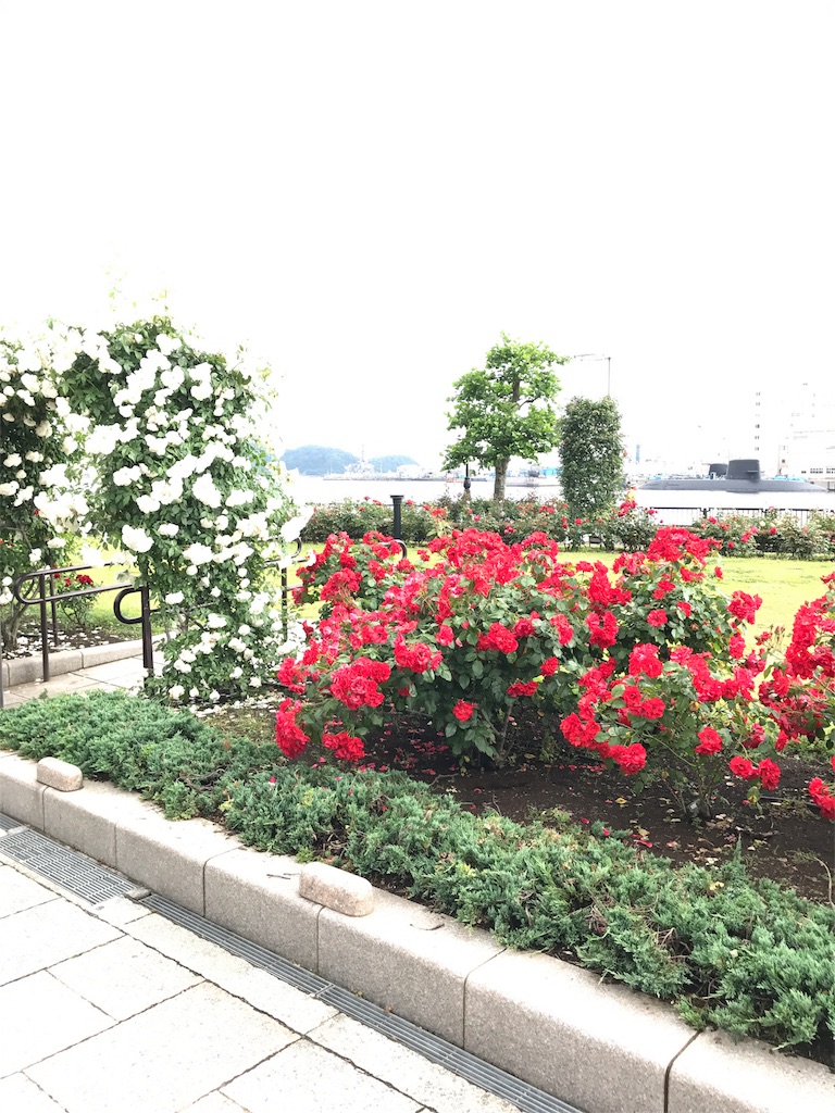 f:id:hatakofuru:20170528182959j:image