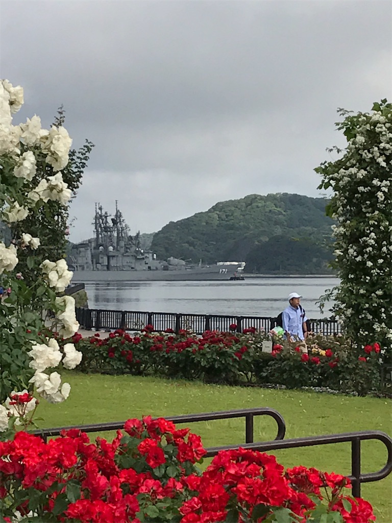 f:id:hatakofuru:20170528183040j:image