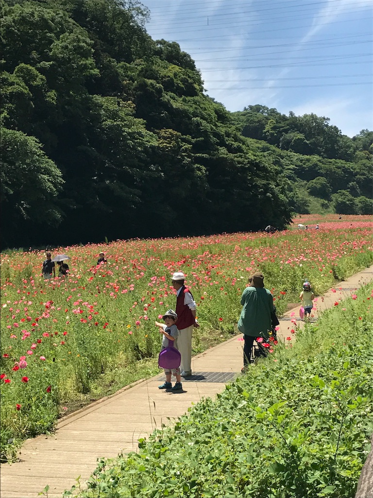 f:id:hatakofuru:20170529081701j:image f:id:hatakofuru:20170529081701j:image