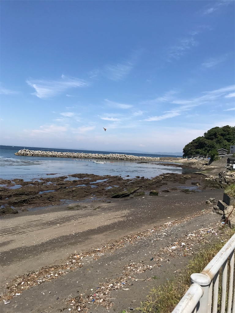 f:id:hatakofuru:20170529202034j:image