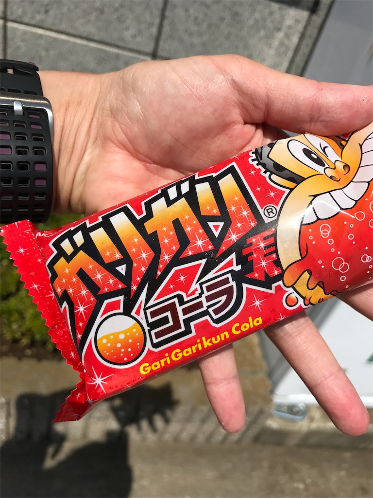 f:id:hatakofuru:20170529202243j:image