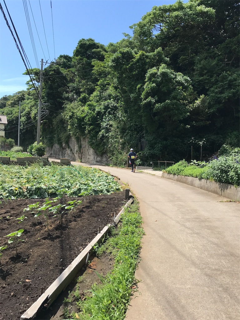 f:id:hatakofuru:20170529203139j:image